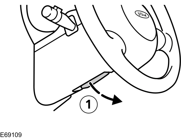 Image Shown Without Description