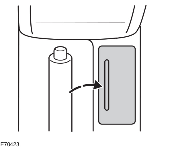 Image Shown Without Description