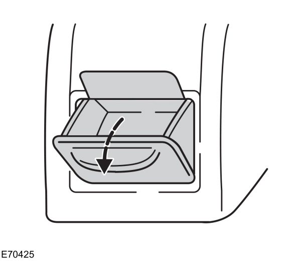 Image Shown Without Description