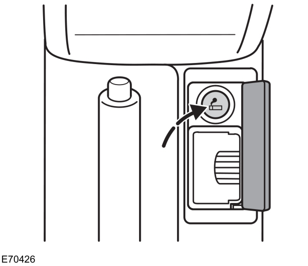 Image Shown Without Description