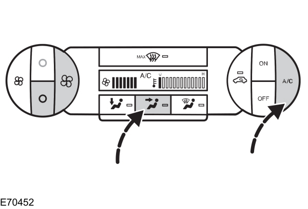 Image Shown Without Description
