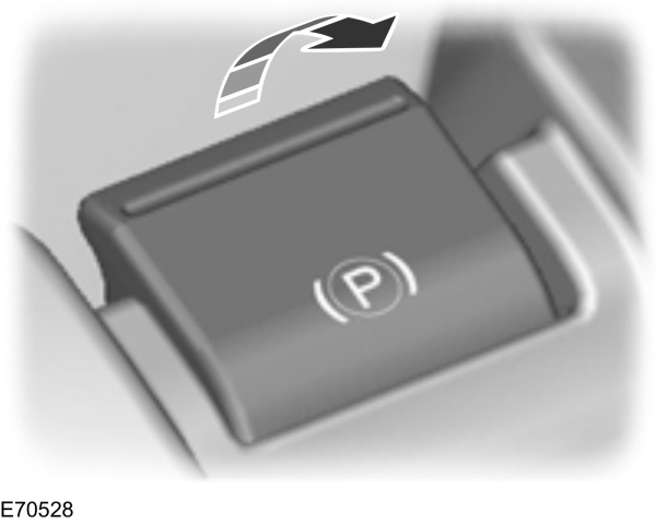 Image Shown Without Description