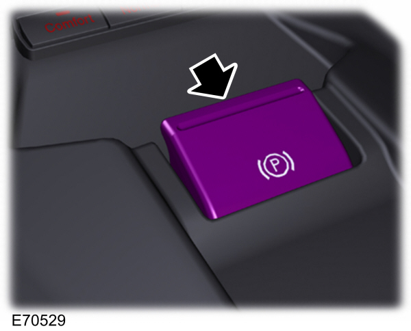 Image Shown Without Description