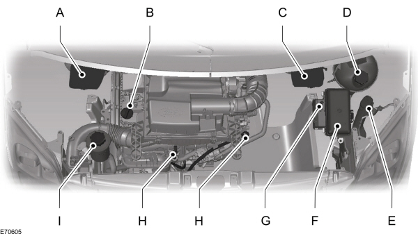Image Shown Without Description