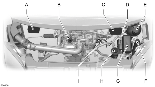 Image Shown Without Description