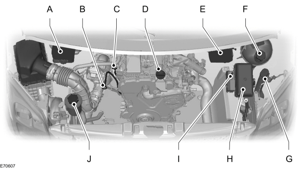 Image Shown Without Description