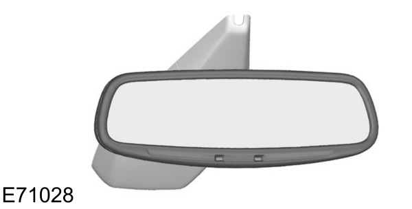 Image Shown Without Description