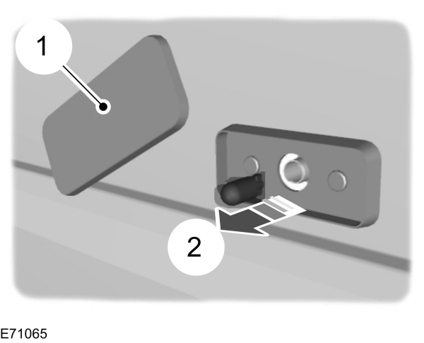 Image Shown Without Description