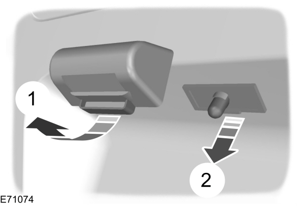 Image Shown Without Description