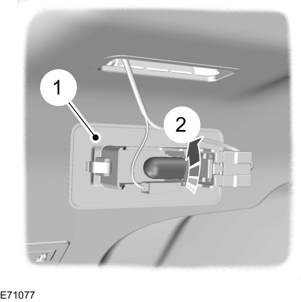 Image Shown Without Description