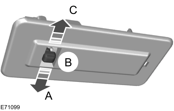 Image Shown Without Description
