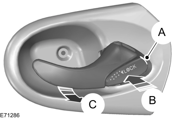 Image Shown Without Description