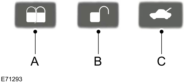 Image Shown Without Description