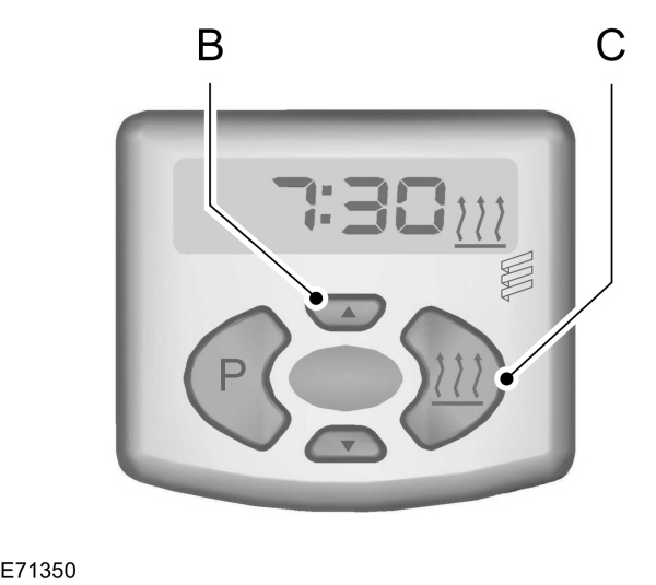 Image Shown Without Description