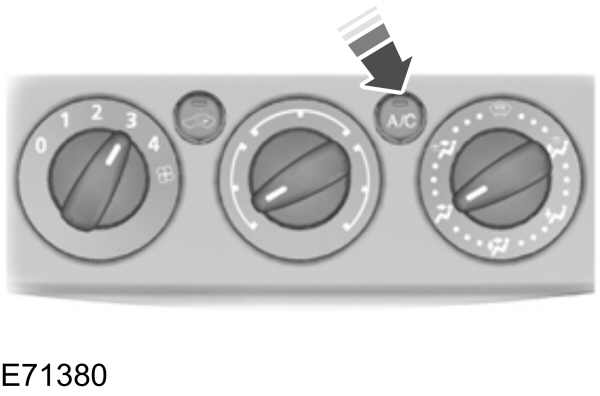 Image Shown Without Description
