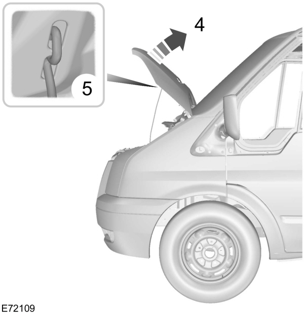 Image Shown Without Description