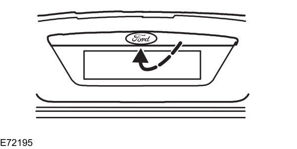 Image Shown Without Description