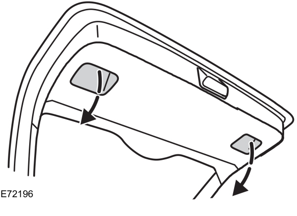 Image Shown Without Description