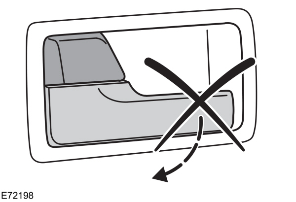Image Shown Without Description