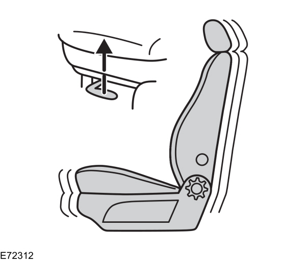Image Shown Without Description