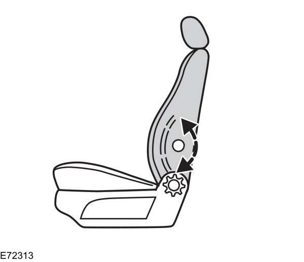 Image Shown Without Description
