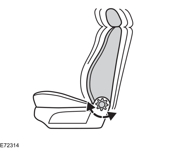 Image Shown Without Description
