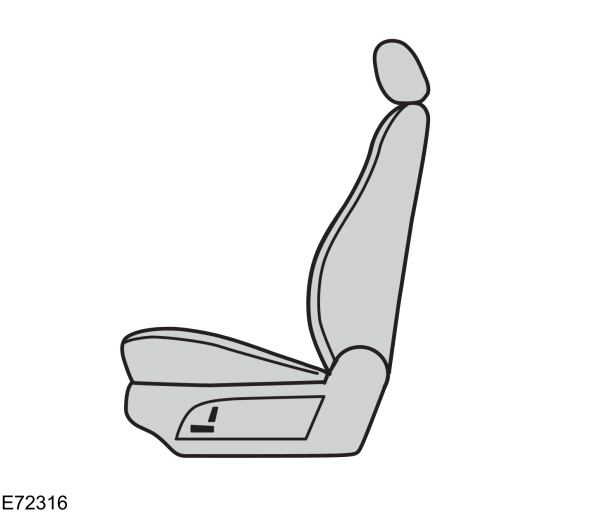 Image Shown Without Description