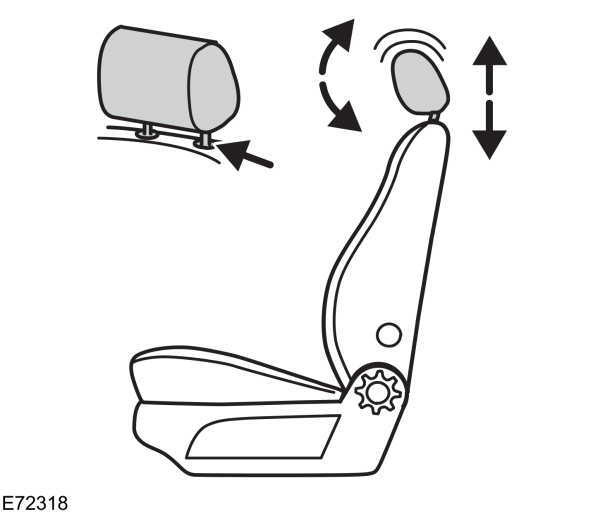 Image Shown Without Description