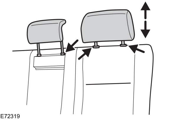Image Shown Without Description