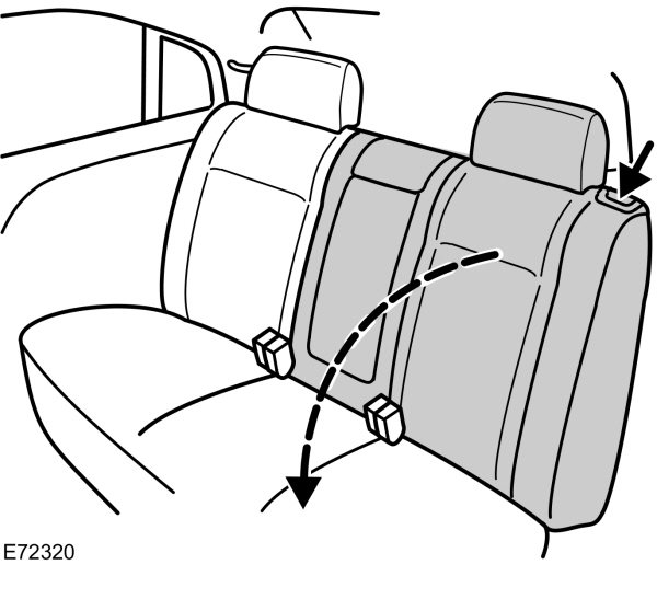 Image Shown Without Description