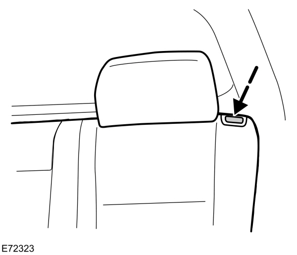Image Shown Without Description