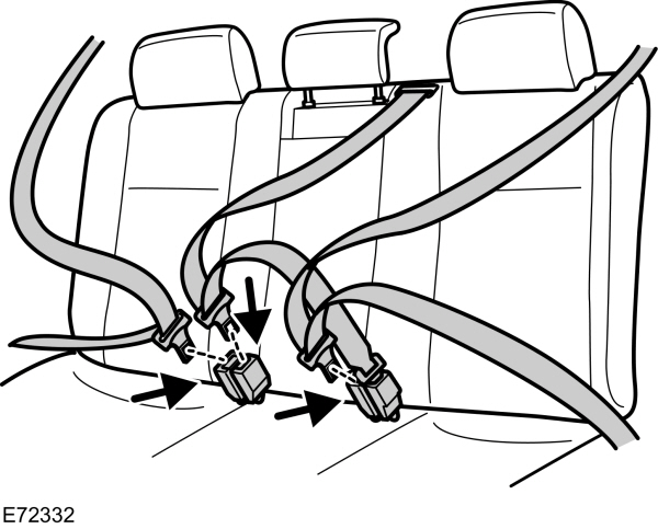 Image Shown Without Description