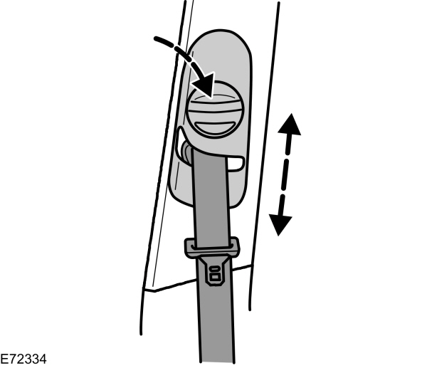 Image Shown Without Description