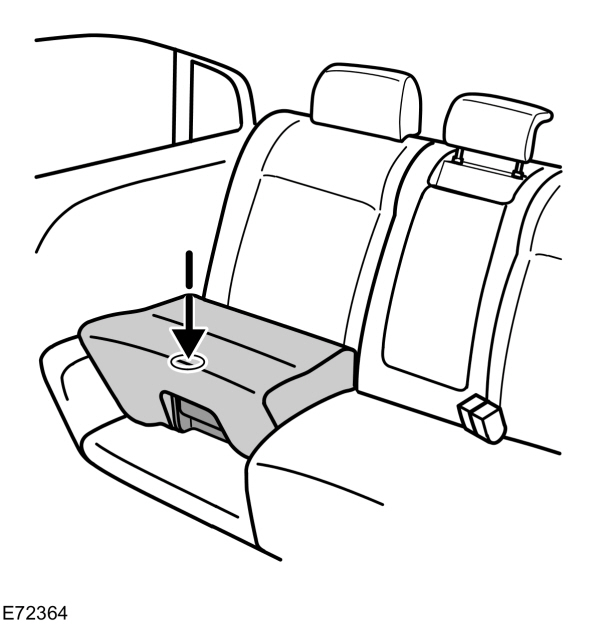 Image Shown Without Description