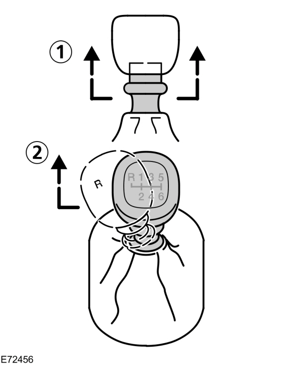 Image Shown Without Description