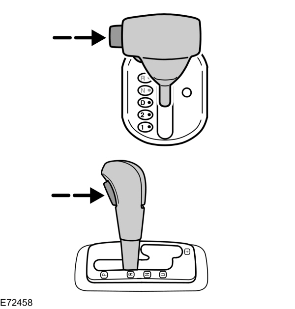 Image Shown Without Description