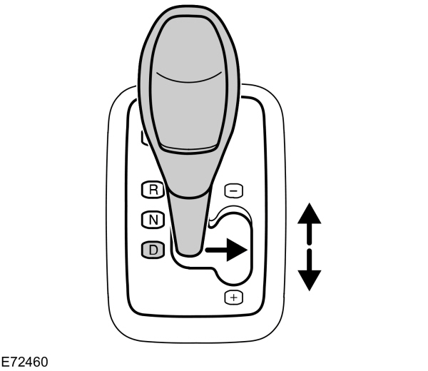 Image Shown Without Description