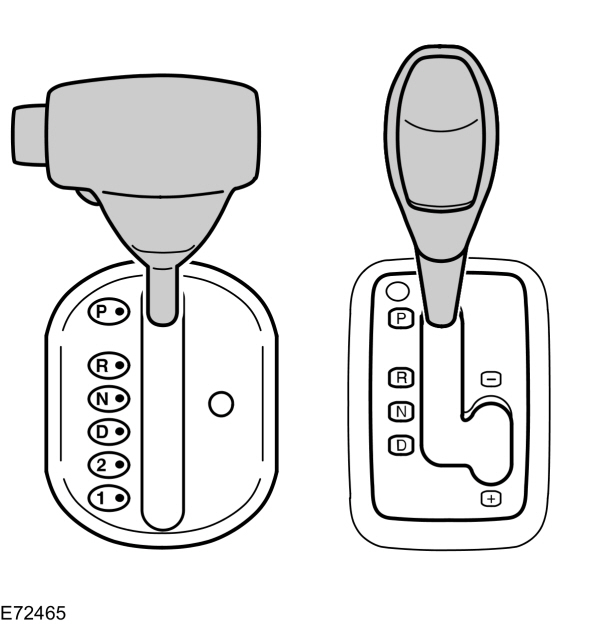 Image Shown Without Description