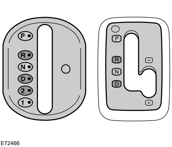 Image Shown Without Description