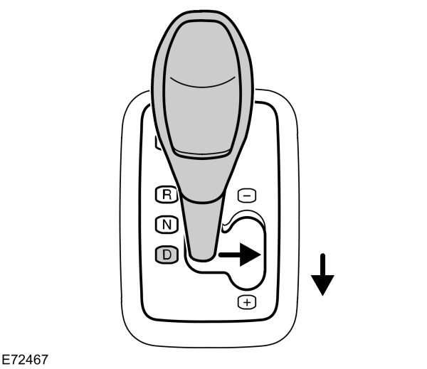 Image Shown Without Description