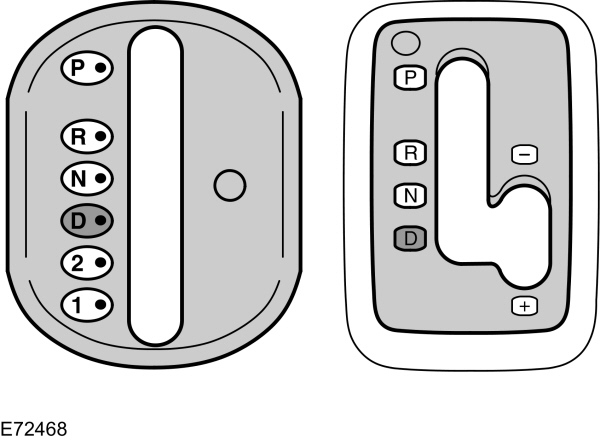 Image Shown Without Description