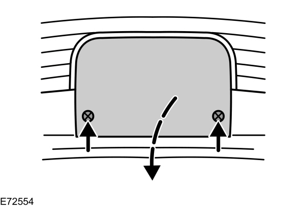 Image Shown Without Description
