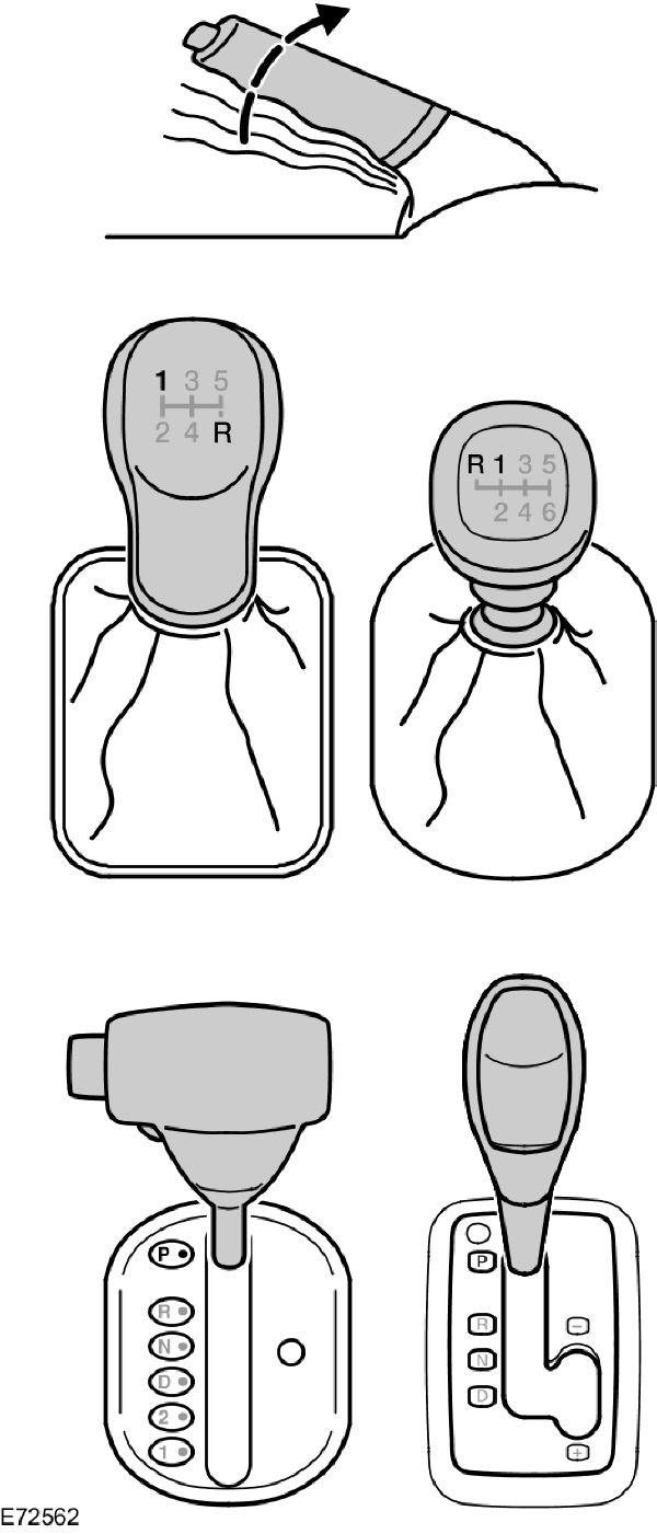 Image Shown Without Description