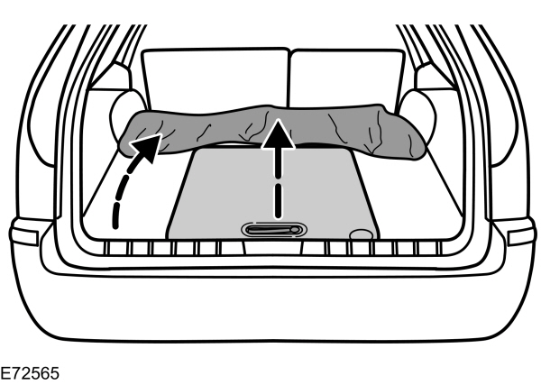Image Shown Without Description