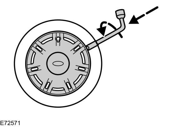 Image Shown Without Description