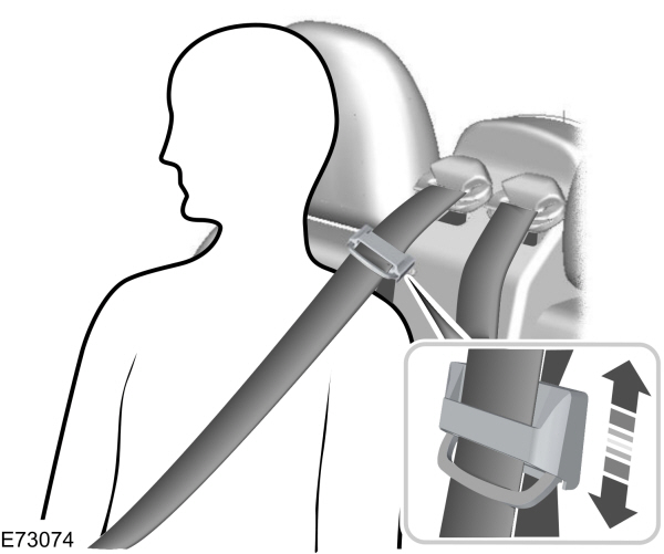 Image Shown Without Description