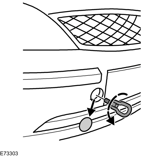 Image Shown Without Description
