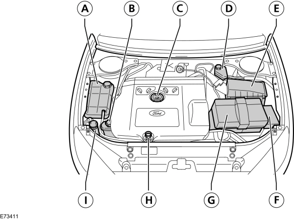 Image Shown Without Description
