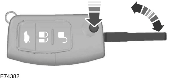 Image Shown Without Description