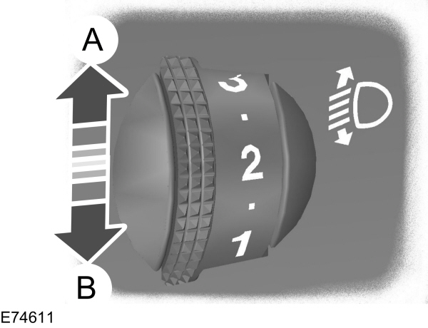 Image Shown Without Description